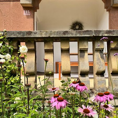 Apartman Teplice nad Metují المظهر الخارجي الصورة